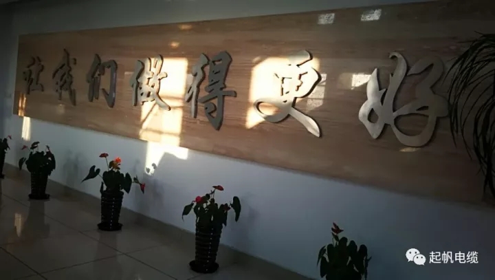 第六届金山区区长质量奖公布，九游体育周供华榜上有名